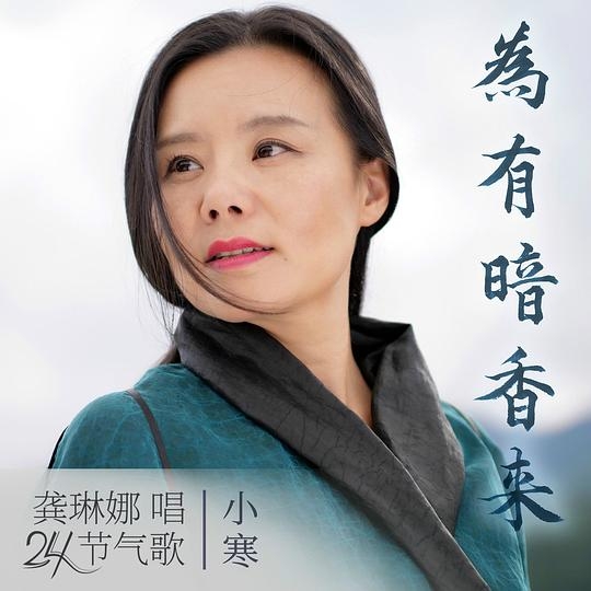 为有暗香来