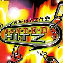 通缉HITZ行动 W-A-N-T-E-D HITZ