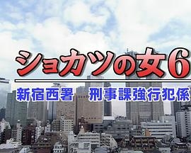 所辖之女6 新宿西署刑事课强行犯系