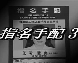 通缉令3