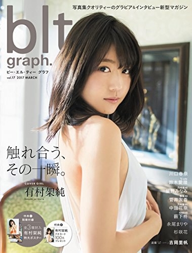 blt graph. vol.17