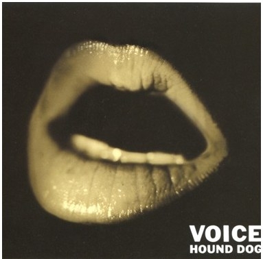 VOICE