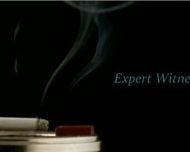 Expert Witness