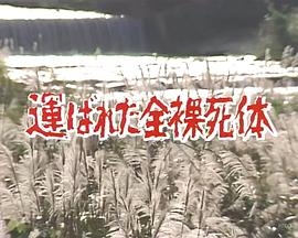 混浴岩風呂連続殺人・にせ夫婦東北ツアー 運ばれた全裸死体