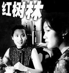 红树林