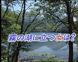 牟田刑事官事件档案29