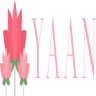 YAAN Udaipur