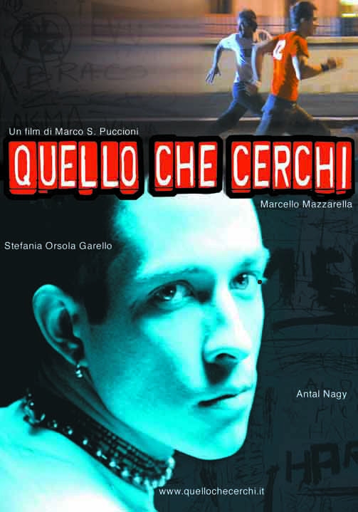 Quello che cerchi