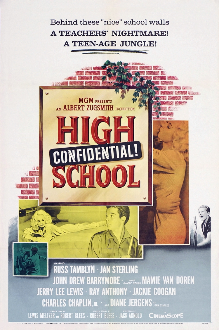 High School Confidential!