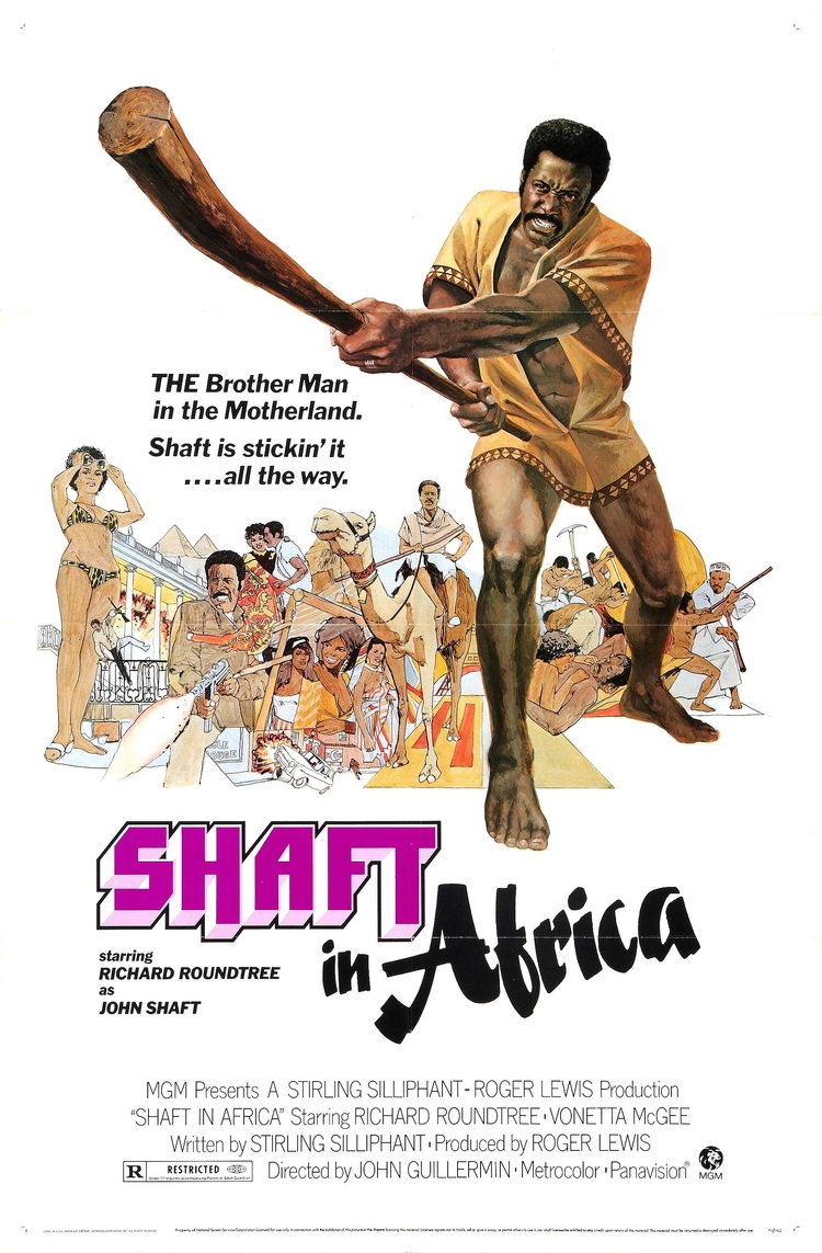 Shaft in Africa