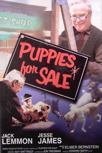 Puppies for Sale