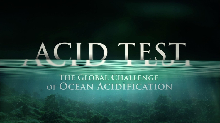 Acid Test: The Global Challenge of Ocean Acidification