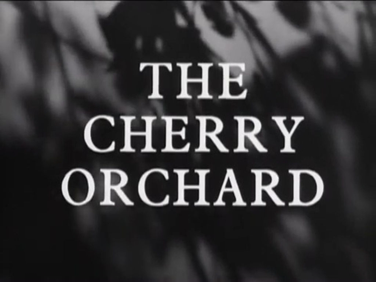 The Cherry Orchard