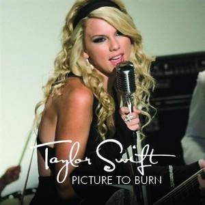 Taylor Swift: Picture to Burn