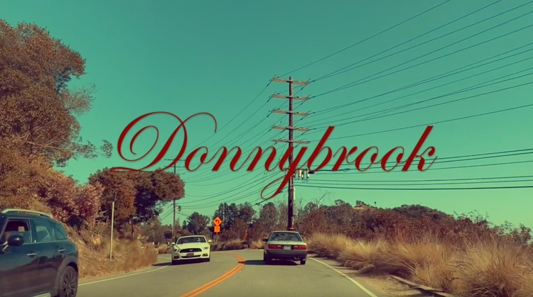 Donnybrook