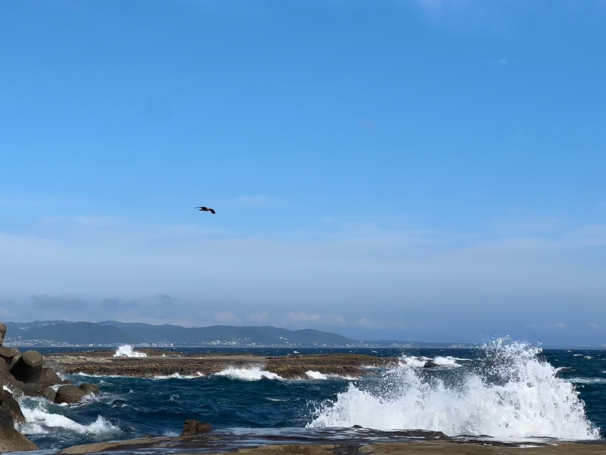 海与鸥