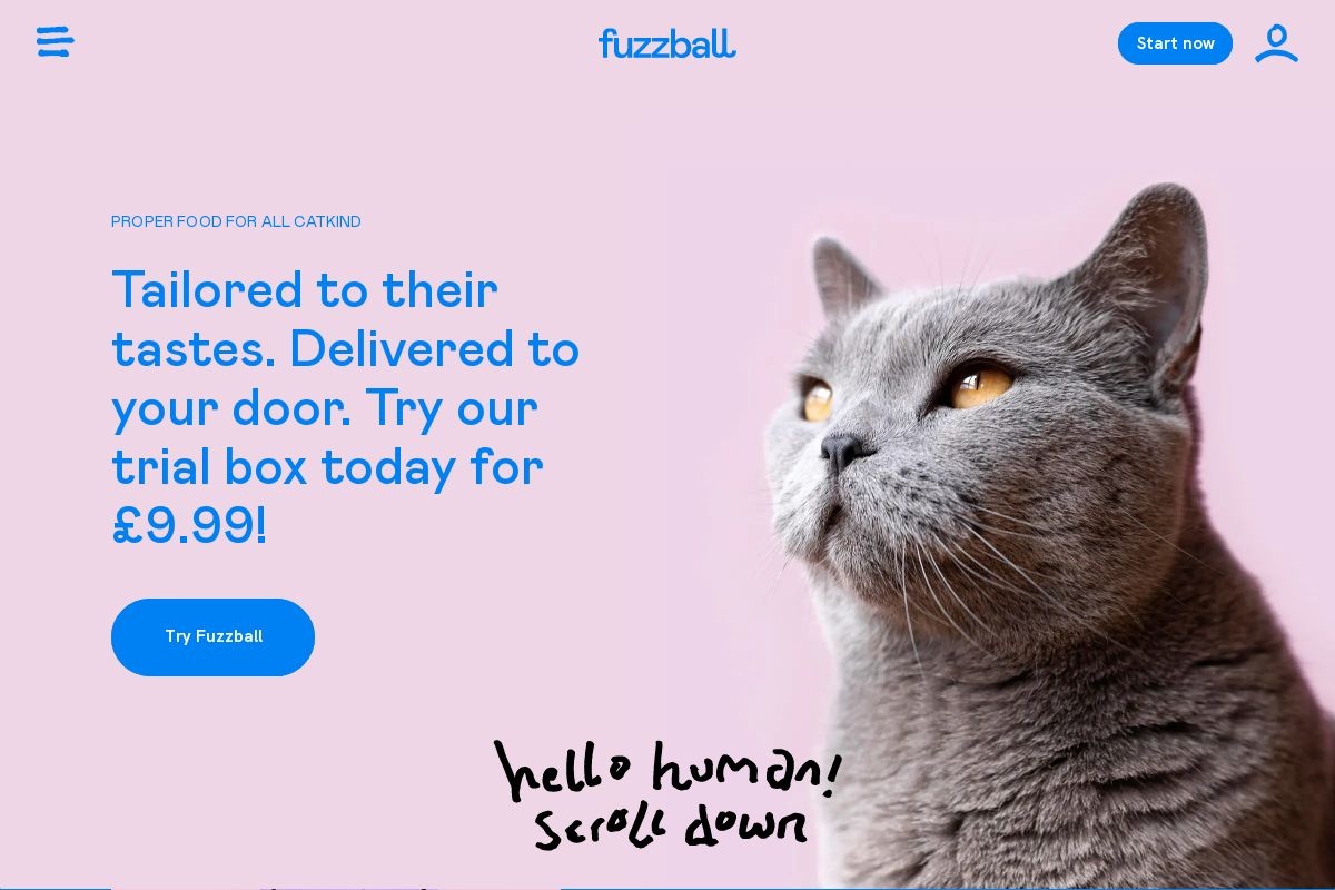 Fuzzball