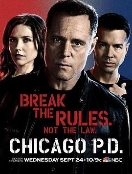 芝加哥警署 第二季