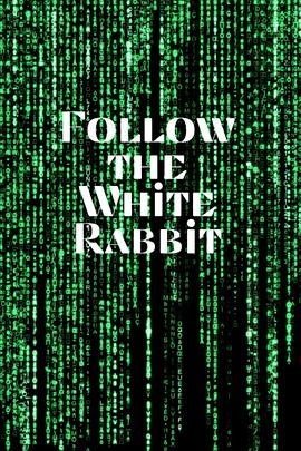 The Matrix: Follow the White Rabbit
