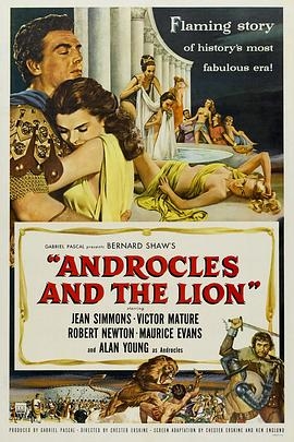 安德鲁克里斯和狮子
