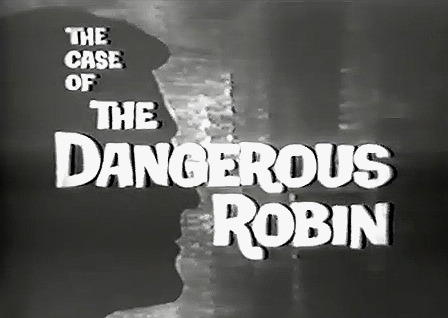 The Case of the Dangerous Robin
