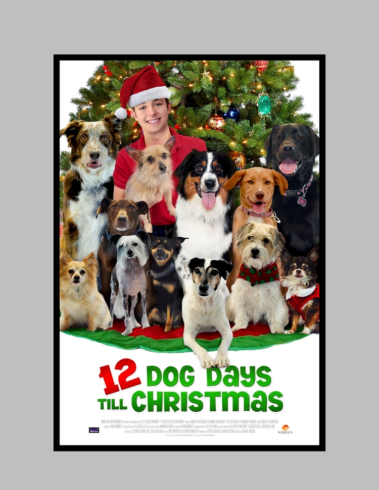 12 Dog Days of Christmas