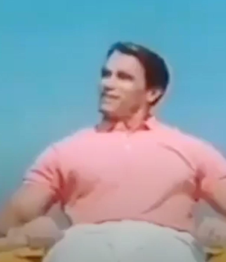 Nissin Cup Noodle: Arnold Schwarzenegger 'Noodle Man'
